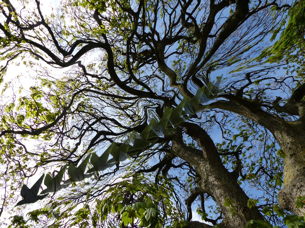 29++ Sine Formula Triangle | Rofgede